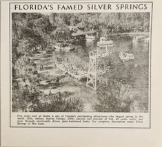 1948 Print Ad Florida&#39;s Famed Silver Springs Five Miles East of Ocala - £7.80 GBP