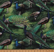 Pagent of Color Peacock Birds Animals Nature Cotton Fabric Print by Yard D479.12 - £7.29 GBP
