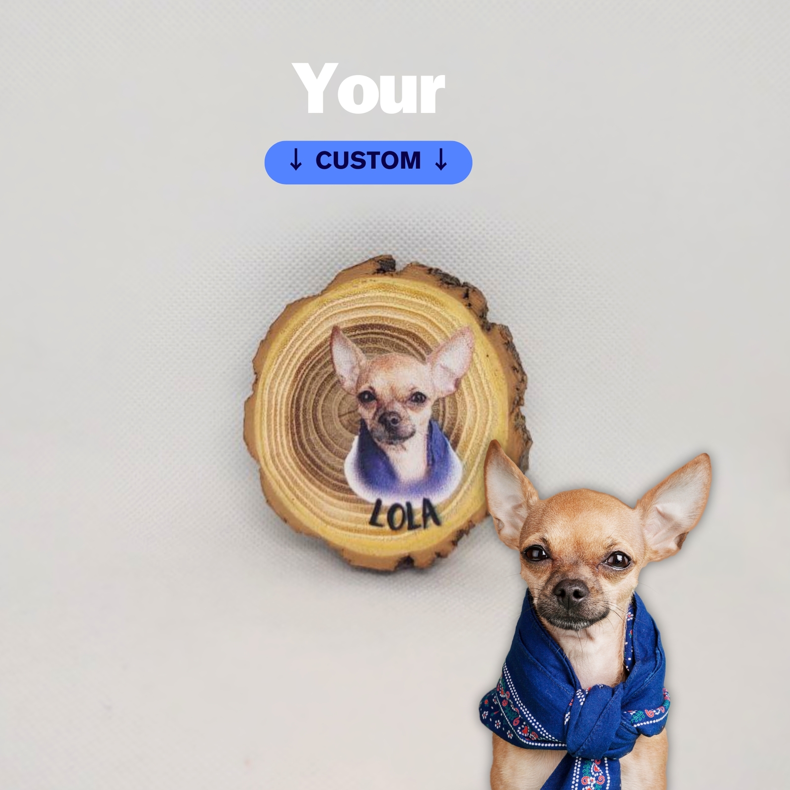 Full-size item image