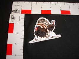 Hunting Patch Turkey - $8.90