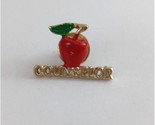 Vintage Counselor With Apple Lapel Hat Pin - £6.59 GBP