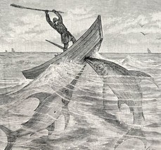 Swordfish Ferocious Attack On Canoe 1887 Wood Engraving Victorian Art DWEE29 - £15.02 GBP