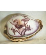 Hand Carved Leopard Cowrie Seashell Bird Scene Sea Shell - $12.86
