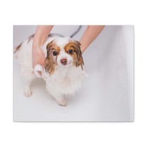 Cute Cavalier King Charles Spaniel Bath Canvas Wall Art  for Home Decor Ready-t - £72.13 GBP+