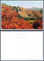 CHINA, Chang Cheng The Great Wall - Postcard Book, Set Of 10 Views See P... - £7.74 GBP