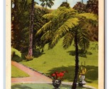 Castleton Gardens Jamaica BWI UNP Linen Postcard B19 - £3.12 GBP
