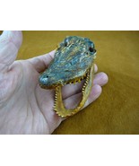 G-Def-271) 4-1/8&quot; Deformed Gator ALLIGATOR HEAD jaw teeth TAXIDERMY weir... - $55.67 CAD