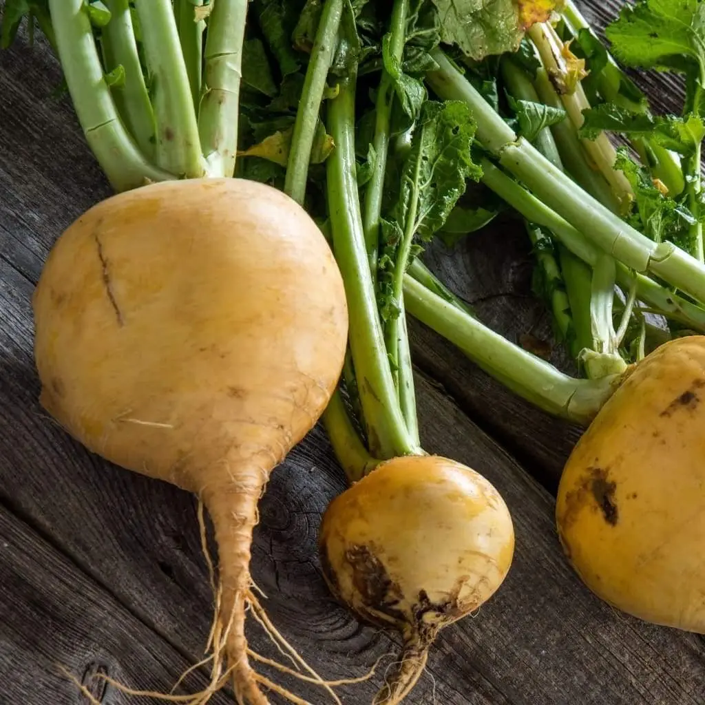 300 Fresh Seeds Golden Globe Turnip - $9.69