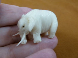 (tb-ele-26) African Elephant Tagua NUT palm figurine Bali carving safari... - $46.98
