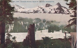 Tatoosh Range Mount Rainier National Park Washington WA 1908 DB Postcard - £8.80 GBP