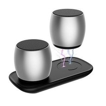 Sound Of Love Duet Dual Speakers - $71.75
