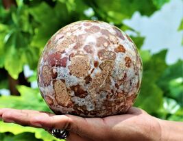 Superb 135MM Red King Cobra Jasper Crystal Quartz Healing Energy Stone S... - $244.18