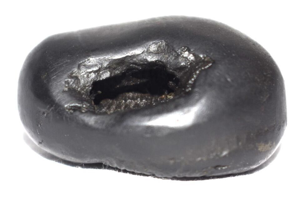 Shesha Shaligram / Ananta Shesha Salagram - Gandaki River Nepal Item image 2