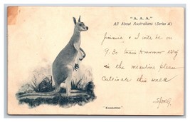 AAA All About Australia Kangaroo 1904 UDB Postcard S3 - £5.88 GBP