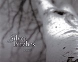 Silver Birches: A Novel by Adrian Plass / 2009 Christian Fiction Trade P... - $2.27