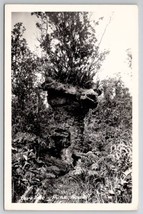 Puna Hawaii Lava Tree RPPC Real Photo Postcard K24 - $18.95