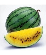 'Rainbow Ice Cream' Series Watermelon, 20 Seeds D - $36.35