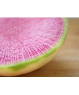 Watermelon Radish Seeds - Organic &amp; Non Gmo Radish Seeds - Heirloom Seed... - £1.76 GBP