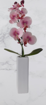 Artificial Plant Cream and Pink  Orchid in Thin Cream Vase - £11.84 GBP