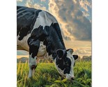 Animal Cow Metal Print, Animal Cow Metal Poster - £9.47 GBP