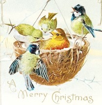 Merry Christmas Greeting Card Victorian 1900s Embossed Birds Holly Gold ... - $24.99