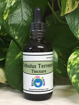 Tribulus Terrestris Tincture - Organic Herbal Extract Remedy by Ecstatic Earth  - £10.27 GBP+