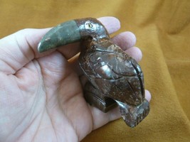 (y-bir-to-400) little brown Toucan tropical bird soapstone carving love ... - £13.98 GBP
