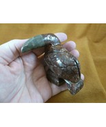 (y-bir-to-400) little brown Toucan tropical bird soapstone carving love ... - $330.40 MXN