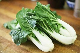 200 Seeds Chinese Cabbage Pak Choi White Stem (Bok Choy) Heirloom Non Gmo From U - £8.21 GBP