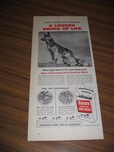 1956 Print Ad Gaines Meal Dog Food 2 German Shepherds - £8.37 GBP