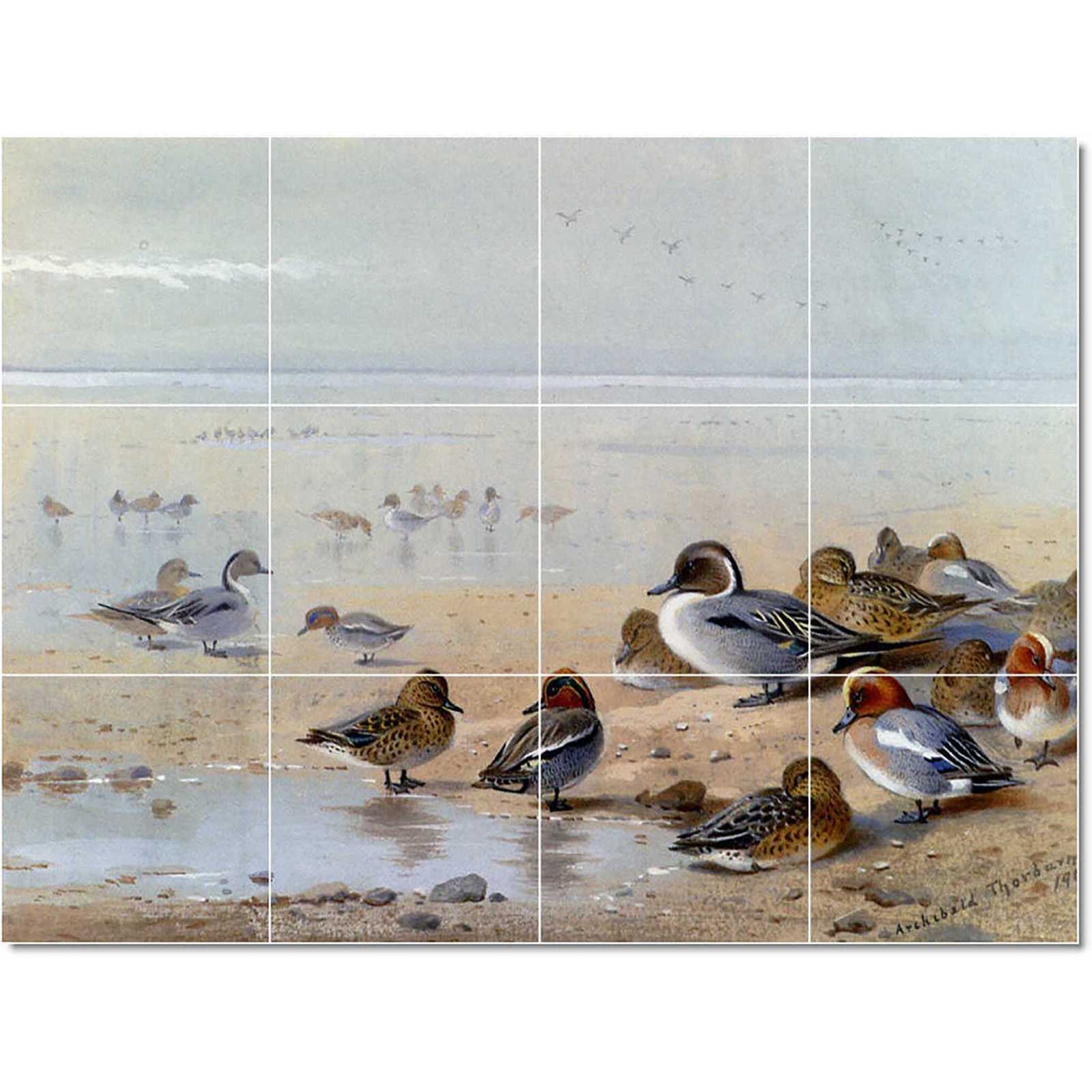 Thorburn archibald pintail teal and wigeon on the seashore