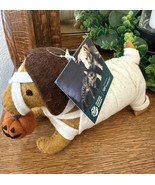 Dachshund Dog Mummy with Pumpkin Halloween Weener Decor NEW Humane Socie... - €22,41 EUR