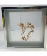 Butterfly dried flowers collage wall art diorama silver square framed ta... - $32.22 CAD