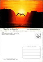 Oregon Coast Twin Rocks Seagull Flying Sunset Silhouette VTG Postcard - £7.01 GBP