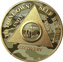 28 Year AA Medallion Camo Gold Plated Anniversary Chip Camouflage Color - $18.80