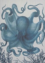 Wall Art Print 19th C Octopus III 29x40 40x29 Blue White - £302.25 GBP