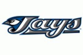 Toronto Blue Jays Baseball Logo Poster Print 12x8in Metal Sign Vintage e - $24.74