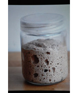organic san francisco sourdough starter yeast TANGY EXTRA SOUR new wharf... - $10.75 CAD