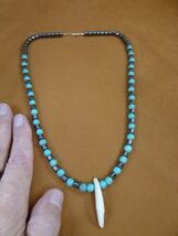 W30-9) 1-1/2&quot; real COYOTE wild dog T**th hematite + turquoise bead 20&quot; N... - $38.99
