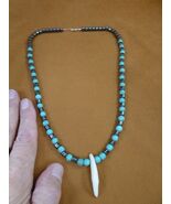 W30-9) 1-1/2&quot; real COYOTE wild dog T**th hematite + turquoise bead 20&quot; N... - €33,28 EUR