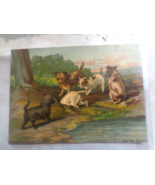 Vintage Victorian Chromo Litho Restein&#39;s Print Dogs &quot;On the Scent&quot; 7.5 x... - £21.90 GBP