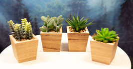 Set of 4 Realistic Artificial Botanica Green Succulents In Wooden Pots 4... - £39.95 GBP