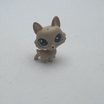 Little Petshop LPS corgi hasbro dog - £7.93 GBP