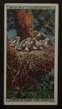 VINTAGE WILLS CIGARETTE CARDS LIFE IN THE TREE TOPS No # 9 NUMBER x1 b11 - £1.37 GBP