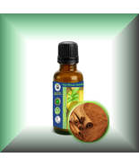Cinnamon Bark (Cinnamomum verum) Essential Oil - €5,12 EUR+