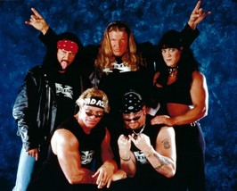 D-GENERATION X 8X10 Photo Wrestling Picture Wwf Triple H Chyna - £3.94 GBP