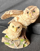 Like Mother Like Son Figurine-The Hamilton Collection Owls, Nesting Instincts - £12.46 GBP