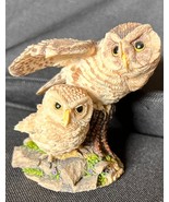 Like Mother Like Son Figurine-The Hamilton Collection Owls, Nesting Inst... - £12.60 GBP