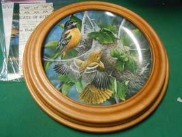 KNOWLES Collector Plate in  Wood Frame THE BALTIMORE ORIOLE 1985 by Kevi... - £11.29 GBP