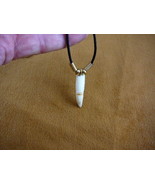 (#G153-G) 1-3/8&quot; GATOR Aligator ALLIGATOR Tooth teeth GOLD black NECKLAC... - €10,42 EUR